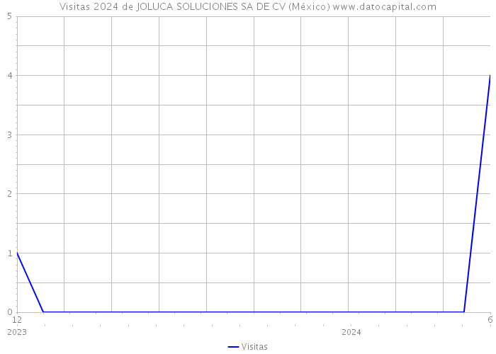 Visitas 2024 de JOLUCA SOLUCIONES SA DE CV (México) 